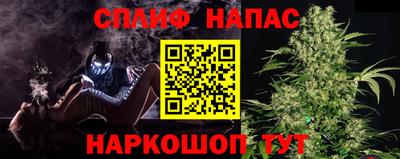 крисы Севастополь