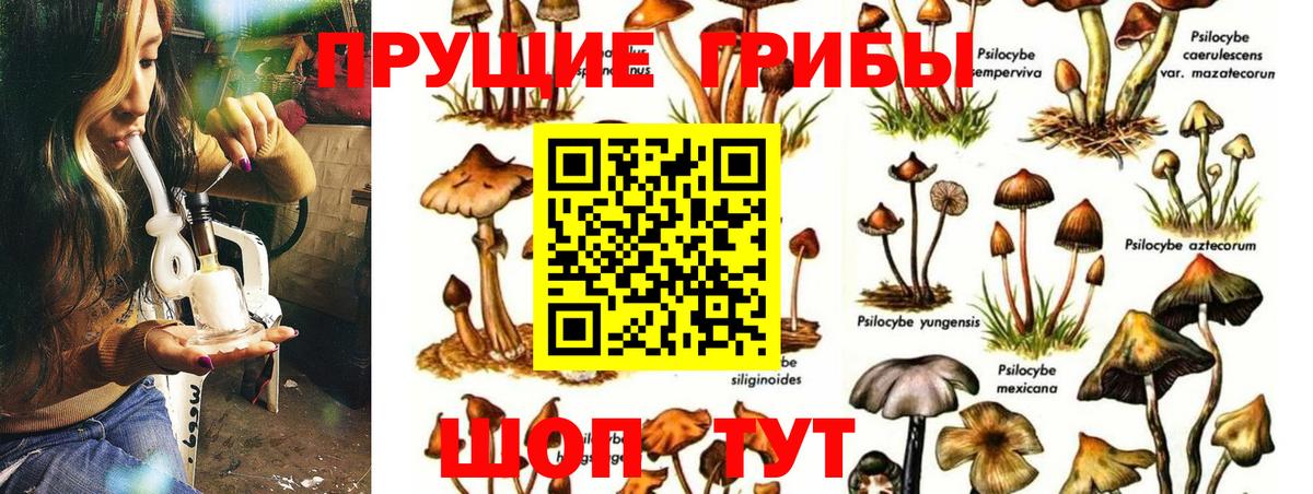 Советский  Галлюциногенные грибы мухоморы  Вход с VPN 